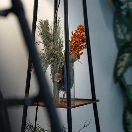 Lit Living: Luxus - Box Spring - Parking - Terrace * لودويغشافن ام ري