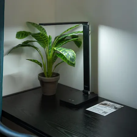 Lit Living: Luxus - Box Spring - Parking - Terrace * لودويغشافن ام ري